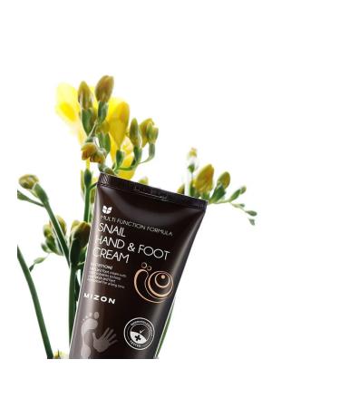 MIZON Snail Nutrient Cream for Hands and Feet with Snail mucin 200ml - Buy Online on GoSupps.com