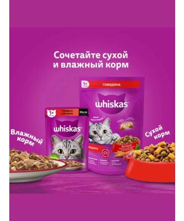 WHISKAS WH wet food for cats 7+ lez kryz Raga 28pcs x 75g - Buy Online on GoSupps.com