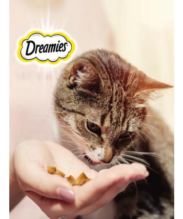 DREAMIES Cotton for cats with salmon 140 g - Buy Online on GoSupps.com