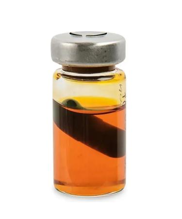KapsOila Novoslim for weight loss and weight control 6 pcs - Buy Online on GoSupps.com