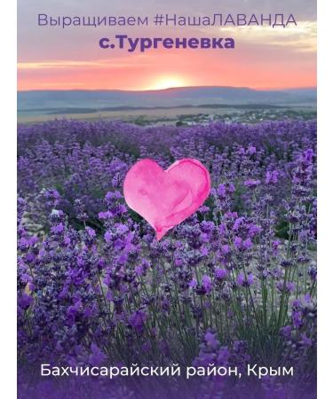 AF Turgenevskaya Lavender hydrolate 150ml Crimea - Buy Online on GoSupps.com