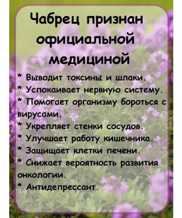 Tea with thyme black leaf brewing - Buy Online on GoSupps.com