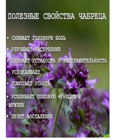 Tea with thyme black leaf brewing - Buy Online on GoSupps.com