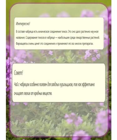 Tea with thyme black leaf brewing - Buy Online on GoSupps.com