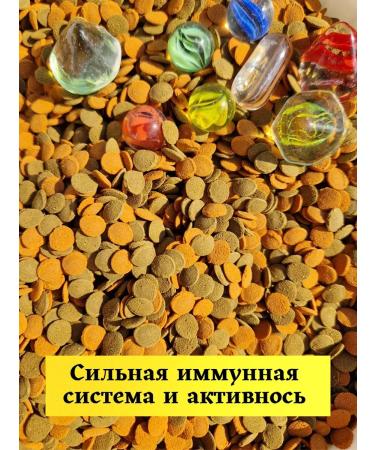 ThfeeidrLabs 100 g tablets for aquarium catfish - Buy Online on GoSupps.com