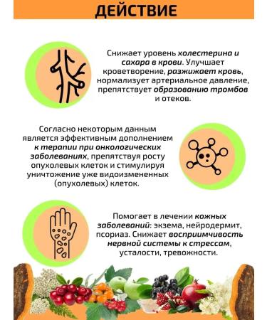 BalsyrupTech Chaga birch phytoconcentrate for health 120 ml - Buy Online on GoSupps.com