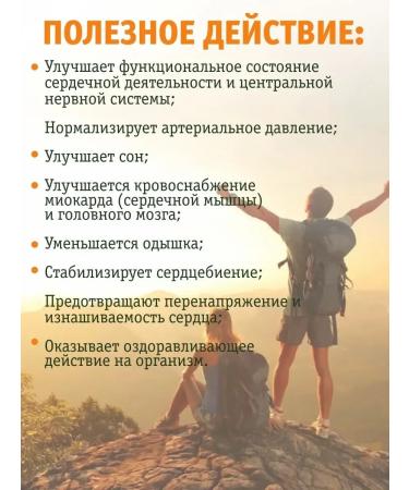 BalsyrupTech Altai honey balm for the heart and blood vessels 250 ml - Buy Online on GoSupps.com