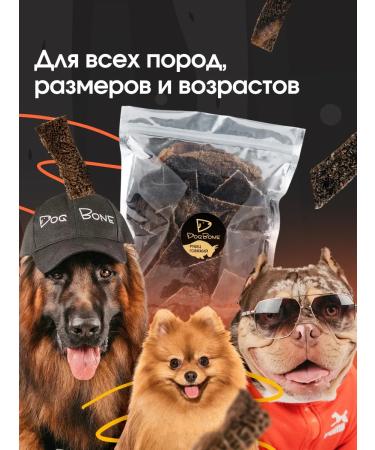 Dog Bone SHUBEC BUCK TREATION FOR DOGS - Buy Online on GoSupps.com