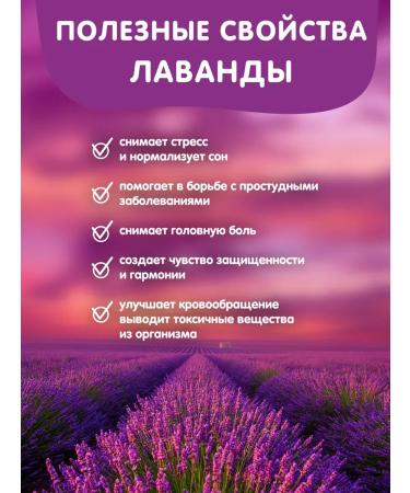 Lavender herbal tea in the Bank of Herbal Nash our tea 80g - Buy Online on GoSupps.com