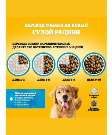 PEDIGREE Dry food for dogs of all breeds beef 2.2 kg - Buy Online on GoSupps.com