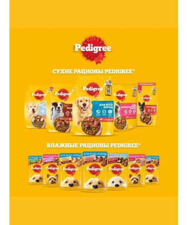 PEDIGREE Dry food for dogs of all breeds beef 2.2 kg - Buy Online on GoSupps.com