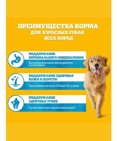 PEDIGREE Dry food for dogs of all breeds beef 2.2 kg - Buy Online on GoSupps.com