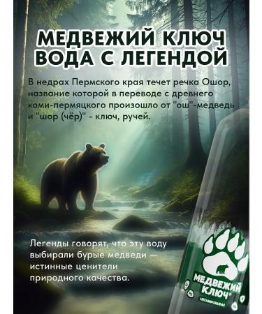 Bear Key Mineral water with magnesium non -carbonated 6 pcs 1 liter - Buy Online on GoSupps.com