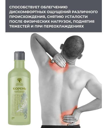 Health from Siberia Balm root for the muscles of the joints and ligaments - 2pcs - Buy Online on GoSupps.com