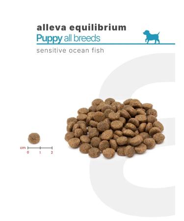 Alleva Equilibrium Sensitive food for puppies ocean. Fish 12 kg - Buy Online on GoSupps.com
