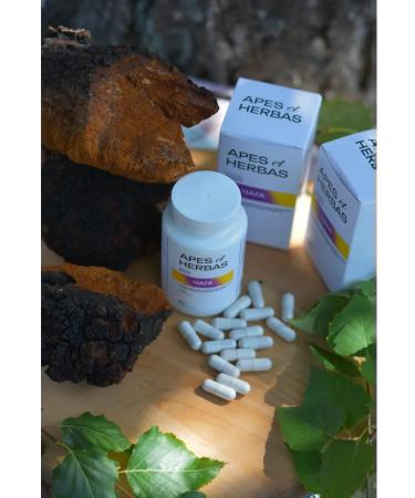 APES et HERBAS Chaga extract 60 capsules - Buy Online on GoSupps.com