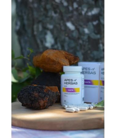 APES et HERBAS Chaga extract 60 capsules - Buy Online on GoSupps.com