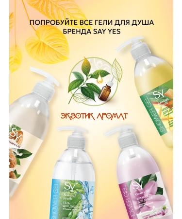 SAY YES Soul gel male Arctic freshness 500 ml - Buy Online on GoSupps.com