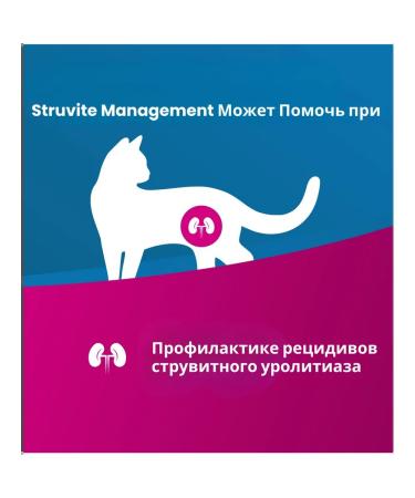 Farmina Therapeutic food for cats with urolithiasis 10kg - Buy Online on GoSupps.com