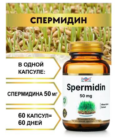 Energy Bio Systems Spermine 50 mg 60 capsules