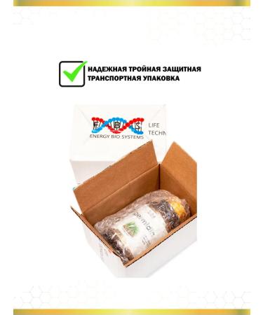 Energy Bio Systems Spermine 50 mg 60 capsules - Buy Online on GoSupps.com