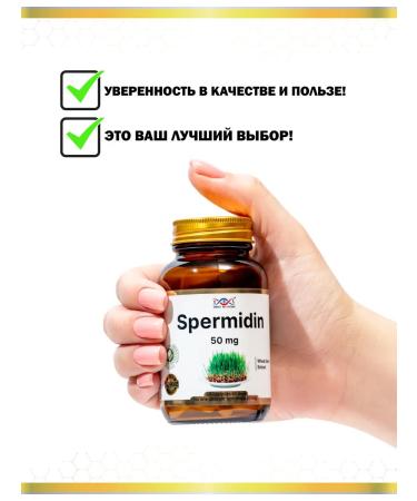 Energy Bio Systems Spermine 50 mg 60 capsules - Buy Online on GoSupps.com