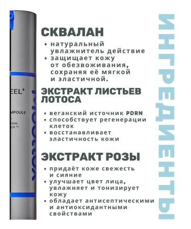 medipeel PDRN Water Tox Exosome ampoule premium lifting serum - Buy Online on GoSupps.com