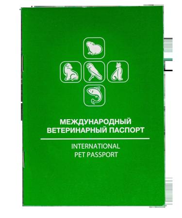 DOGLIKE Veterinary passport (set 30 pieces) - Buy Online on GoSupps.com