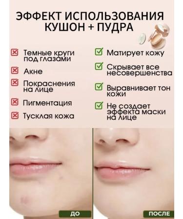 O'CHEAL Cushon for face powder 2 in 1 with sponge tonal natural - Buy Online on GoSupps.com