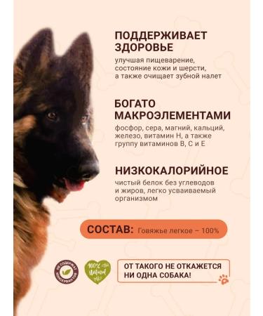 REX Light beef sticks 1000g - Buy Online on GoSupps.com