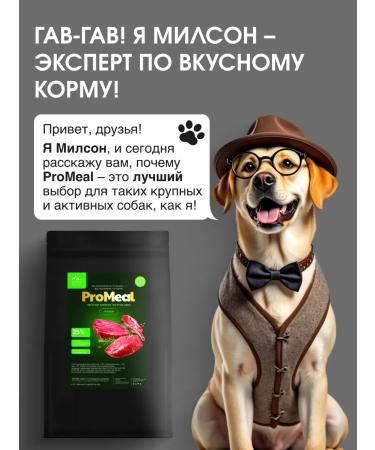 ProMeal Dog food for dogs weighing 10-70 kg lamb 2 kg - Buy Online on GoSupps.com