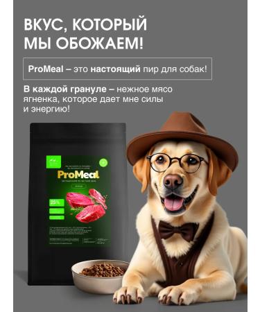 ProMeal Dog food for dogs weighing 10-70 kg lamb 2 kg - Buy Online on GoSupps.com