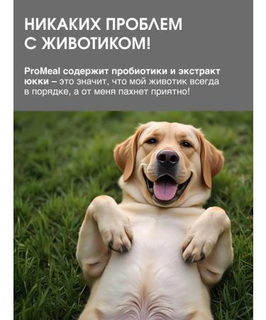 ProMeal Dog food for dogs weighing 10-70 kg lamb 2 kg - Buy Online on GoSupps.com