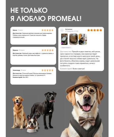 ProMeal Dog food for dogs weighing 10-70 kg lamb 2 kg - Buy Online on GoSupps.com