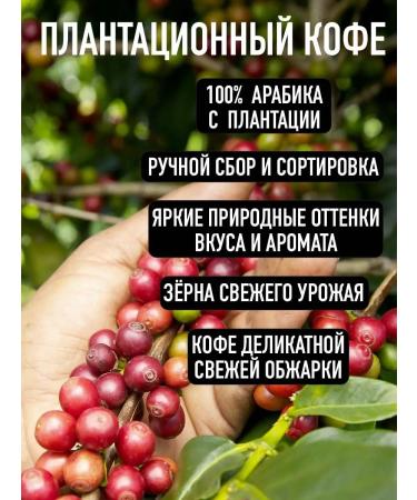 Ground coffee in Viennese with natural spices 200 g madeo - Buy Online on GoSupps.com