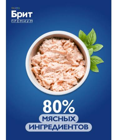 Brit Wet food for cats veal Rittes 100g x 12 - Buy Online on GoSupps.com