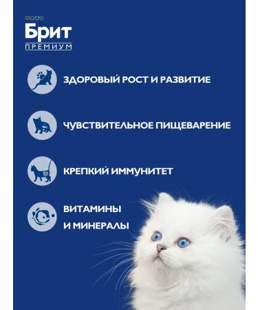 Brit Wet food for cats veal Rittes 100g x 12 - Buy Online on GoSupps.com