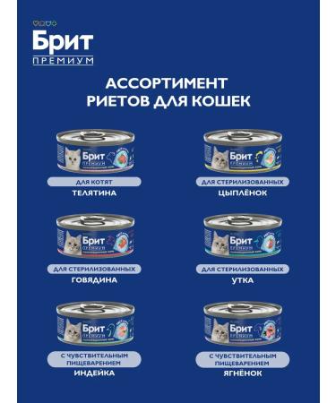 Brit Wet food for cats veal Rittes 100g x 12 - Buy Online on GoSupps.com