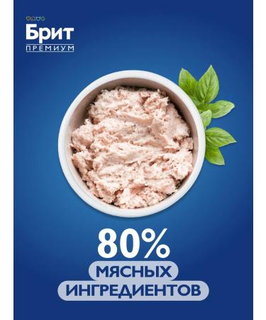 Brit Wet food for cats a duck rayit 100g x 12 - Buy Online on GoSupps.com