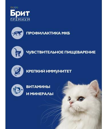 Brit Wet food for cats a duck rayit 100g x 12 - Buy Online on GoSupps.com