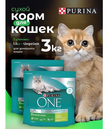 PURINA ONE Dry food for cats with turkey 1.5 kg*2 pcs - Buy Online on GoSupps.com