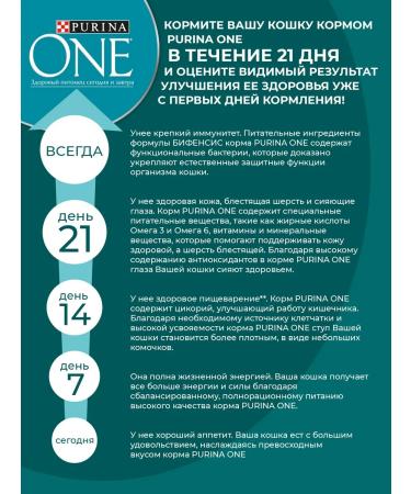 PURINA ONE Dry food for cats with turkey 1.5 kg*2 pcs - Buy Online on GoSupps.com