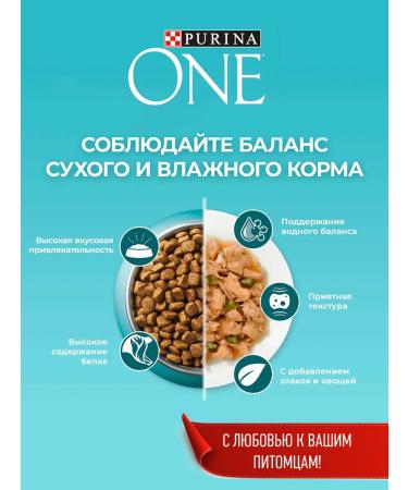 PURINA ONE Dry food for cats with turkey 1.5 kg*2 pcs - Buy Online on GoSupps.com