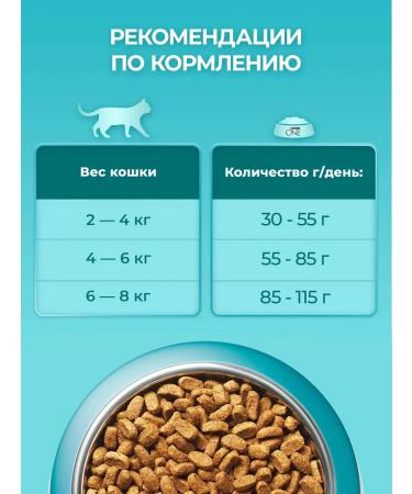 PURINA ONE Dry food for cats with turkey 1.5 kg*2 pcs - Buy Online on GoSupps.com
