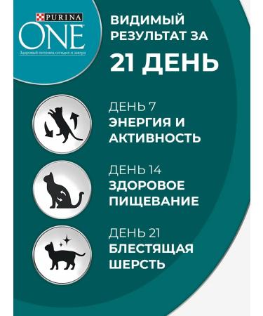 PURINA ONE Dry food for cats with turkey 1.5 kg*2 pcs - Buy Online on GoSupps.com
