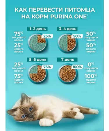 PURINA ONE Dry food for cats with turkey 1.5 kg*2 pcs - Buy Online on GoSupps.com