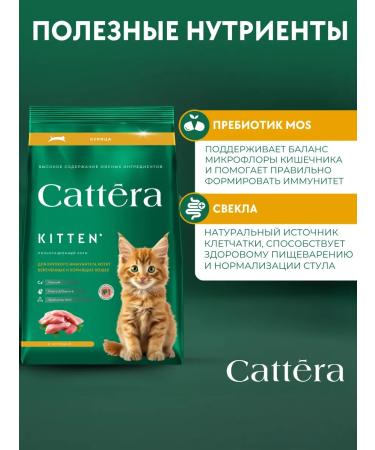Cattera Dry food for kittens with chicken - Buy Online on GoSupps.com