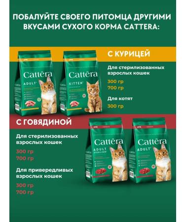 Cattera Dry food for kittens with chicken - Buy Online on GoSupps.com