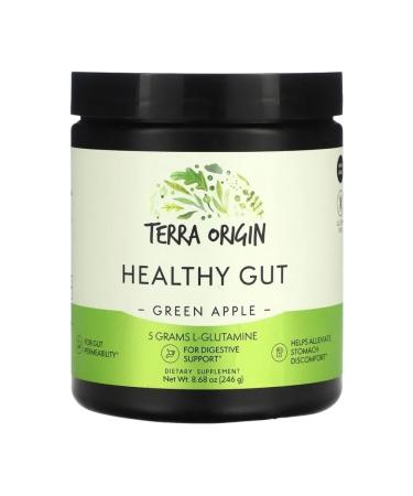 Terra origin Healthy GUT for the digestive system 243 gr (apple)
