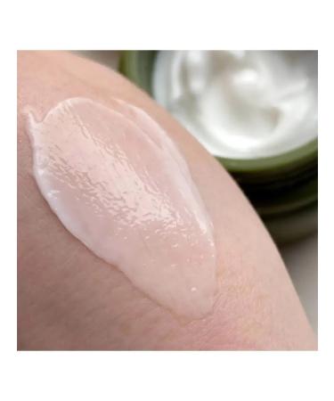 THE SAEM Cream with New Zealand linen extract - Buy Online on GoSupps.com